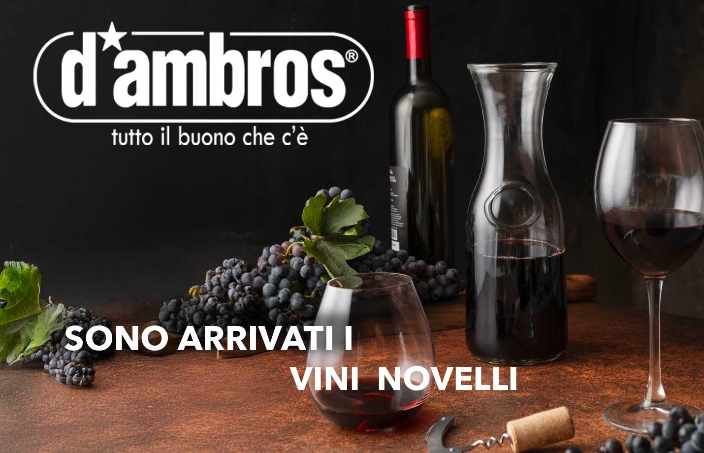 HOME PAGE VINI NOVELLI