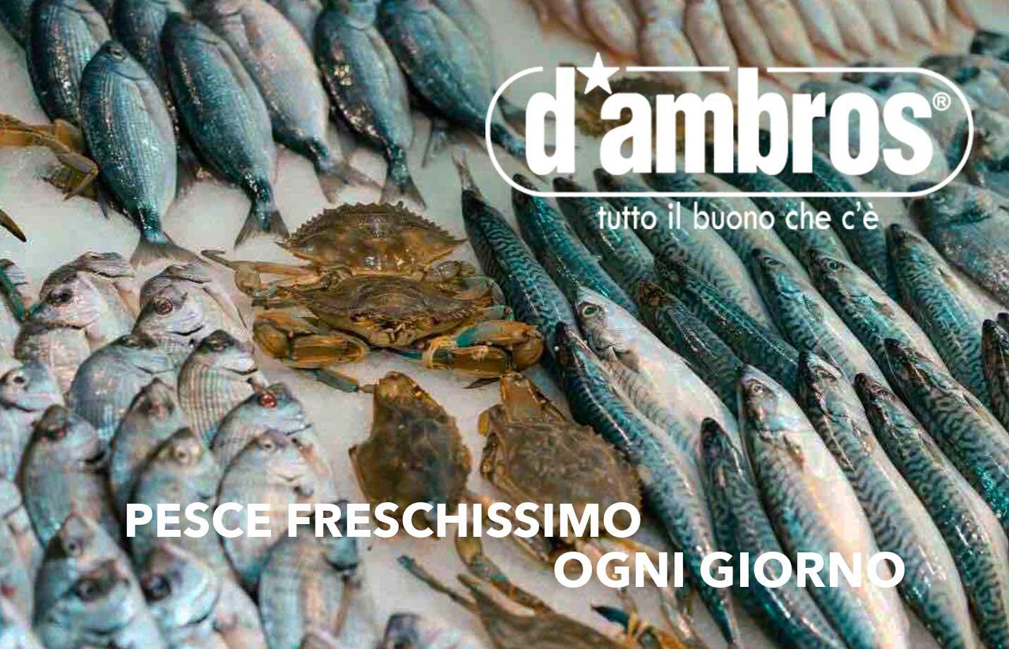 Home page pescheria