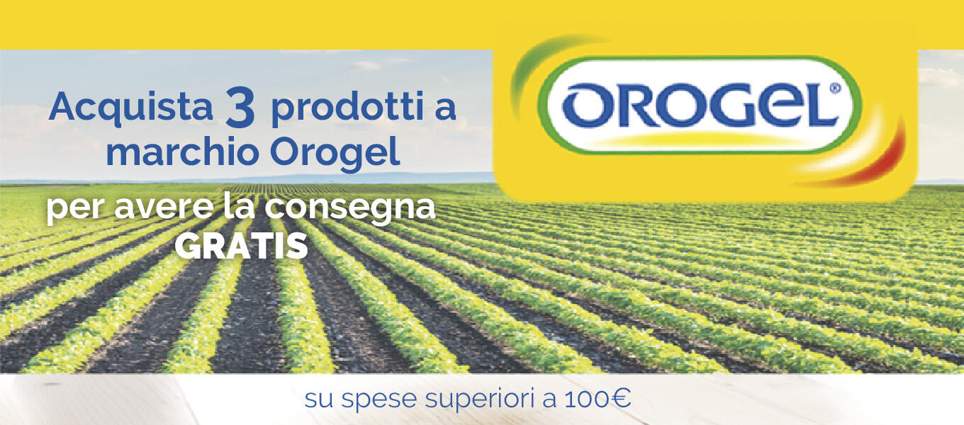 BANNER OROGEL