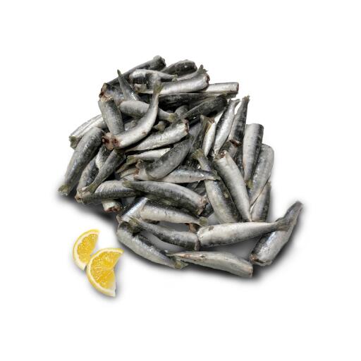 Sarde eviscerate decapitate congelate
