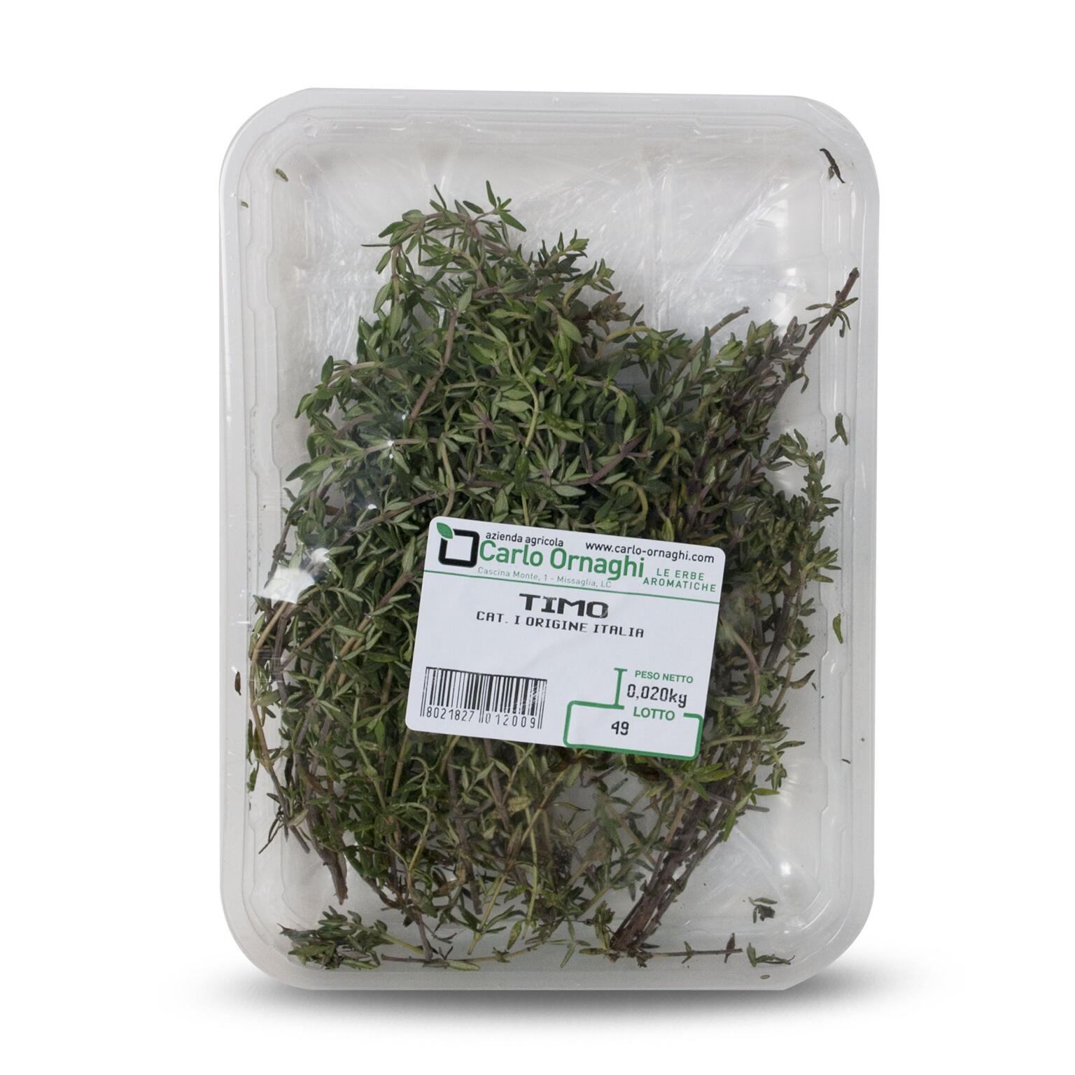 Timo vaschetta 30g Ornaghi