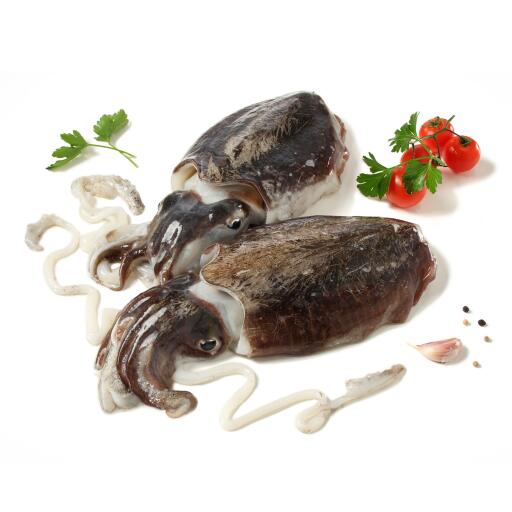 Seppie nere 100/300 fresche pescate