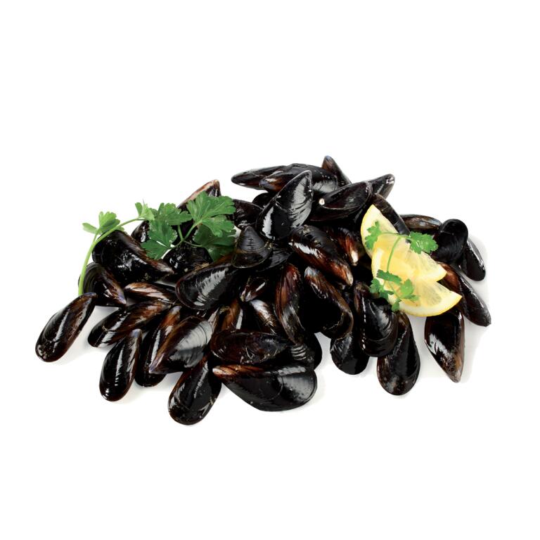 Cozze Italia fresche rete kg.5 A CASSA