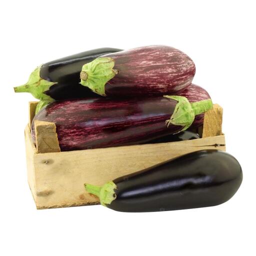 Melanzane viola a cassa