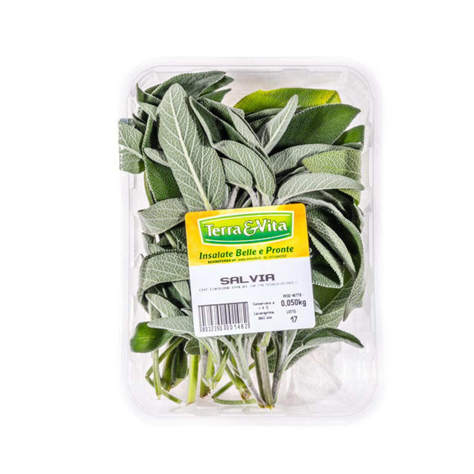 Salvia 50g Terra&Vita