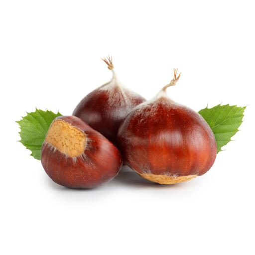 Castagne