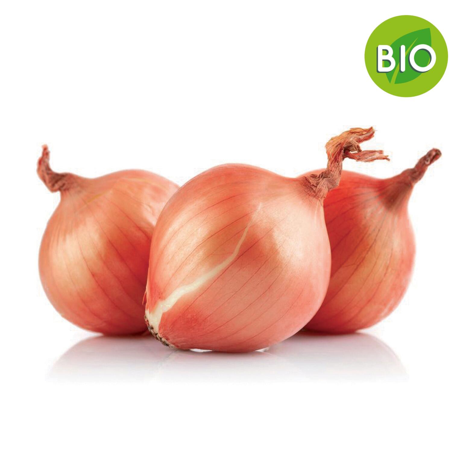 Cipolle ramate Milano cal.80/100 sacco da kg.3