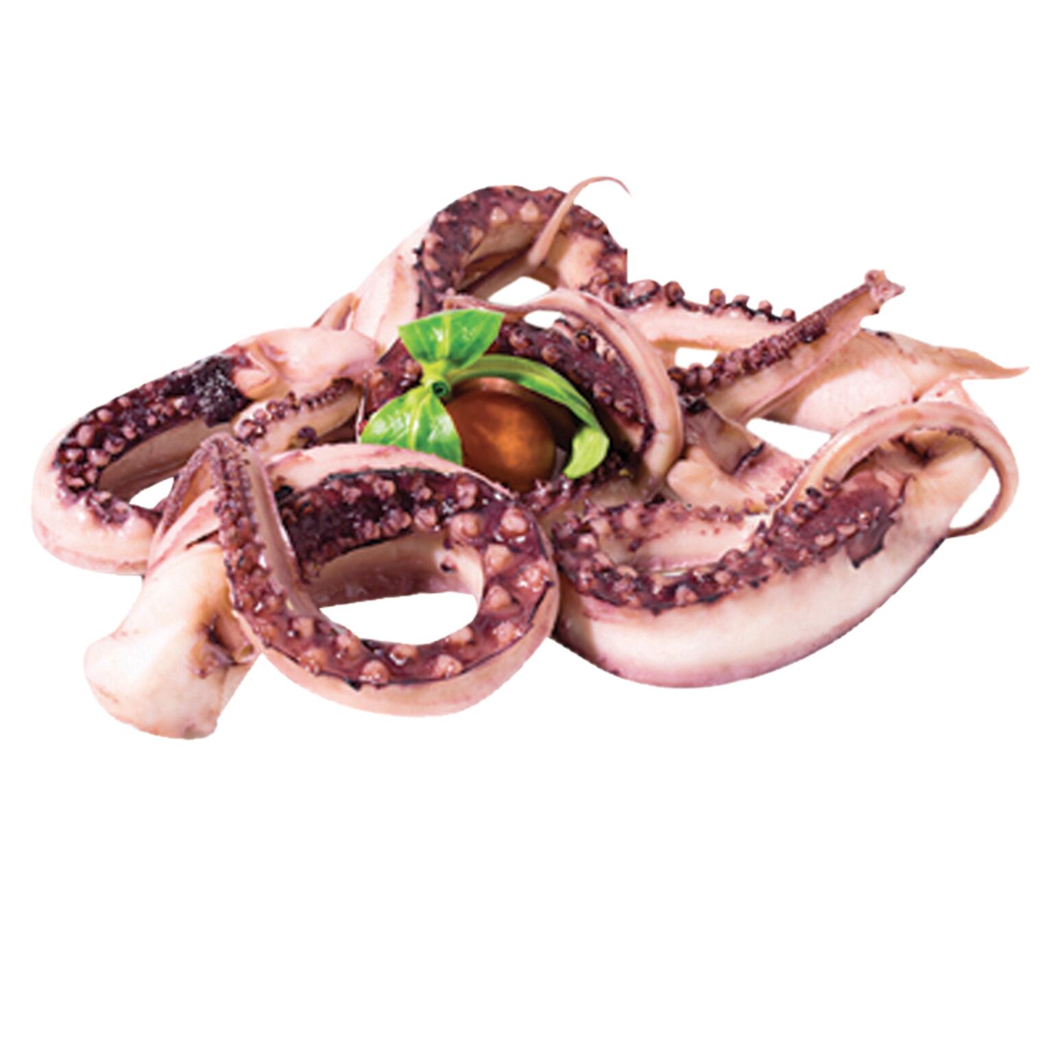 Tentacoli di totano gigante 500g Wofco