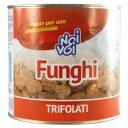 Immagine del prodotto