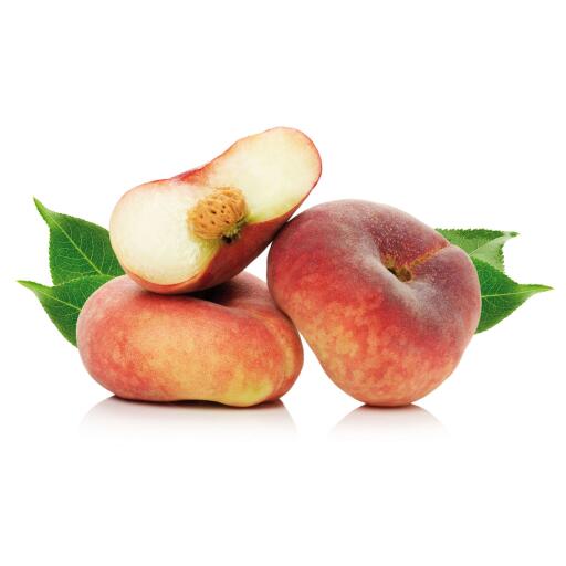 Pesche Saturnine