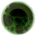 Immagine del prodotto