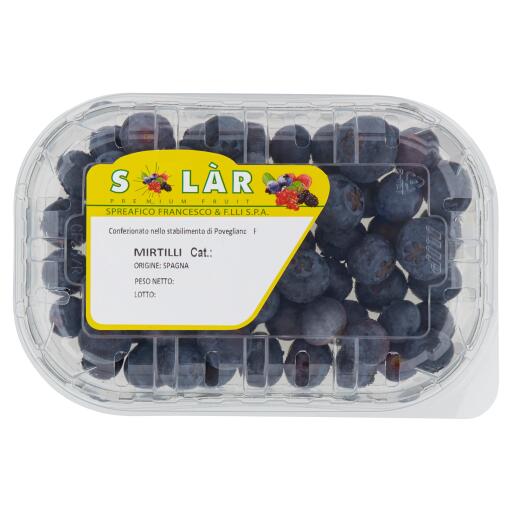 Mirtilli 125g