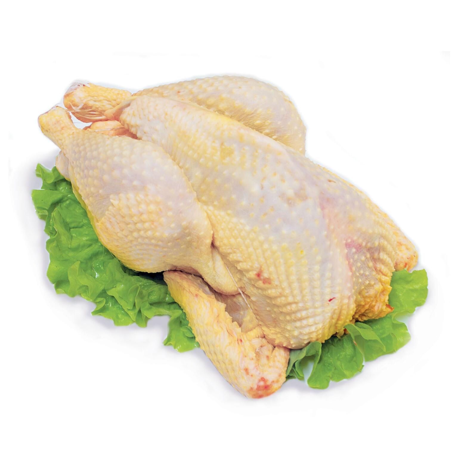 Cappone Piemontese a Busto