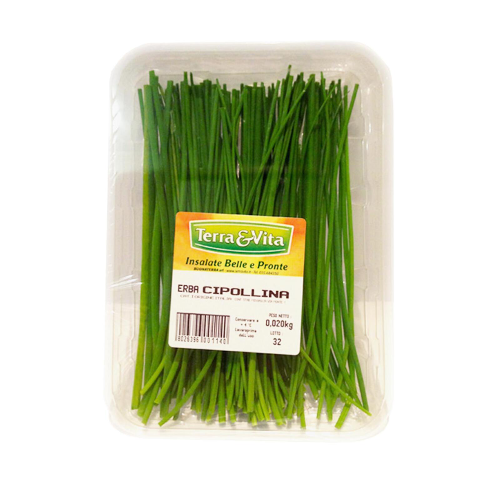 Erba cipollina 20g Terra&Vita