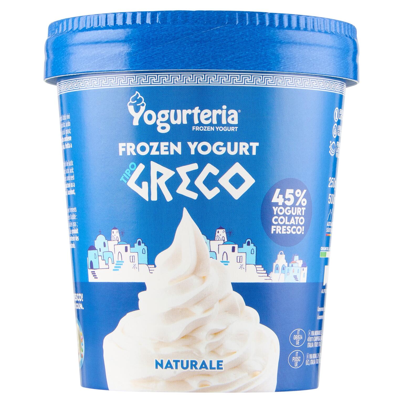 Gelato frozen allo yogurt greco 250g