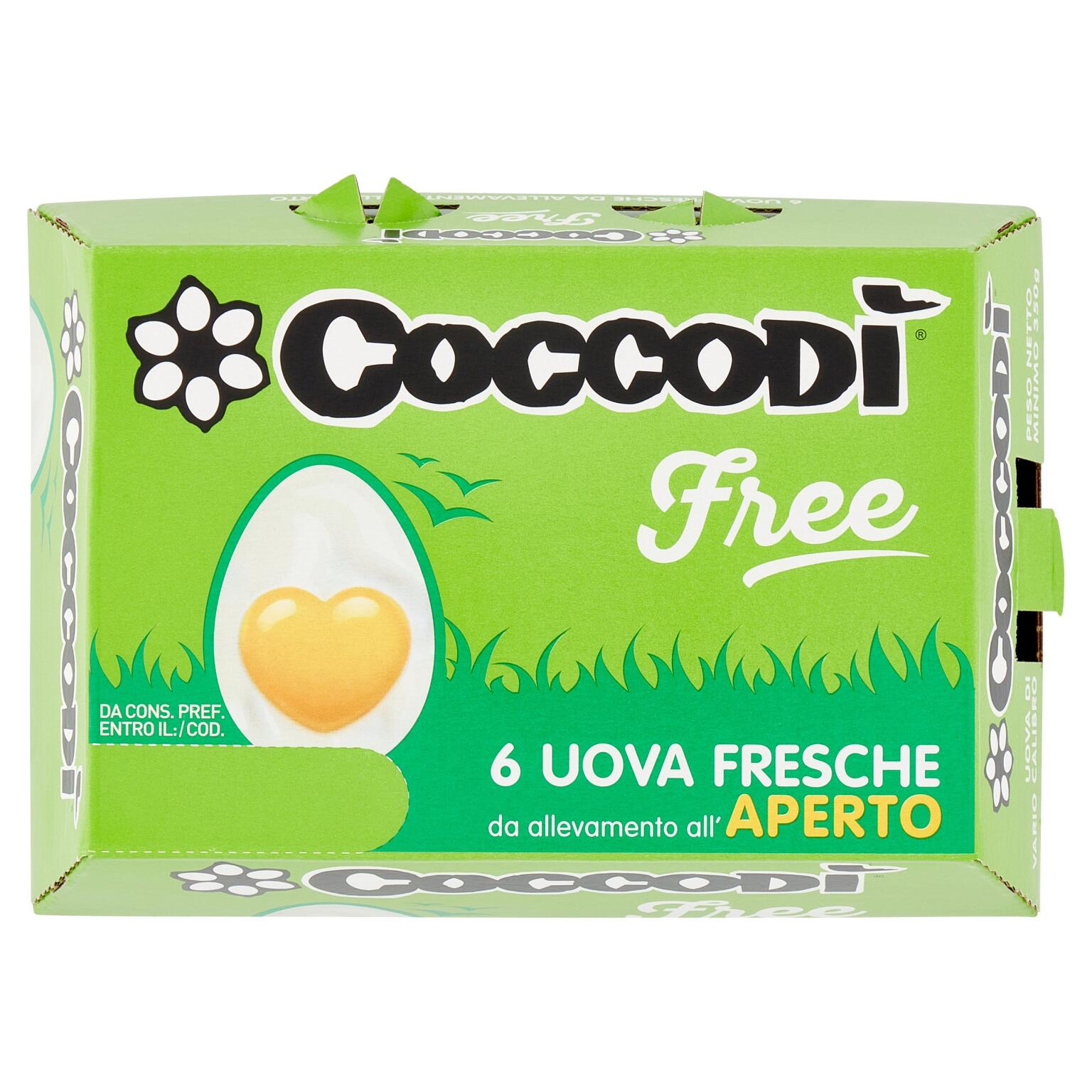 Uova Coccodì free da allevamento all'aperto x6