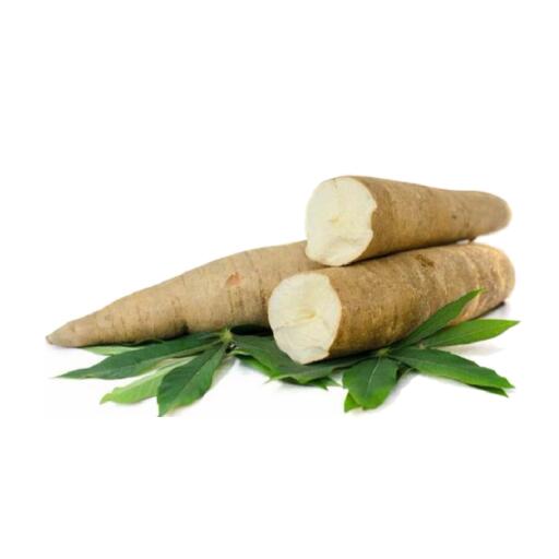 Manioca