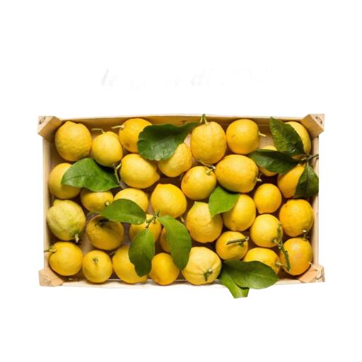 Limoni verna a cassa