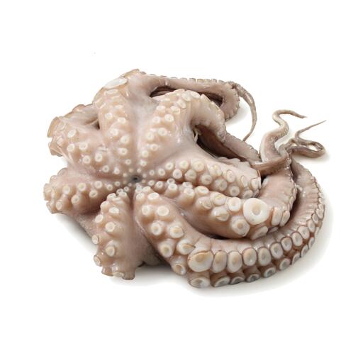 Polpo Messicano conf.skin 500g Fish Atelier