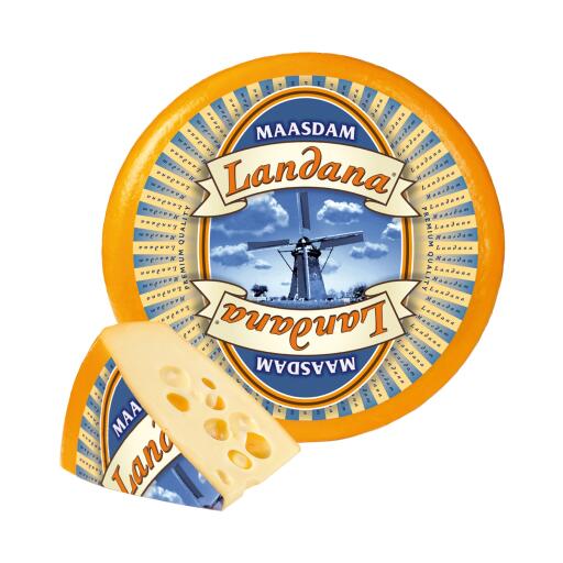 Maasdam olandese Landana