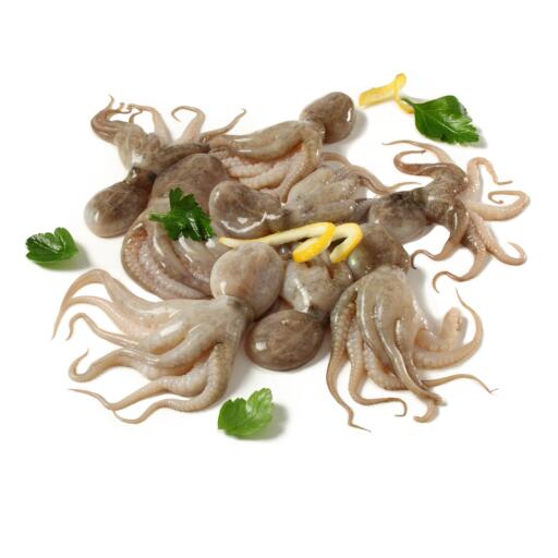 Polipetti decongelati