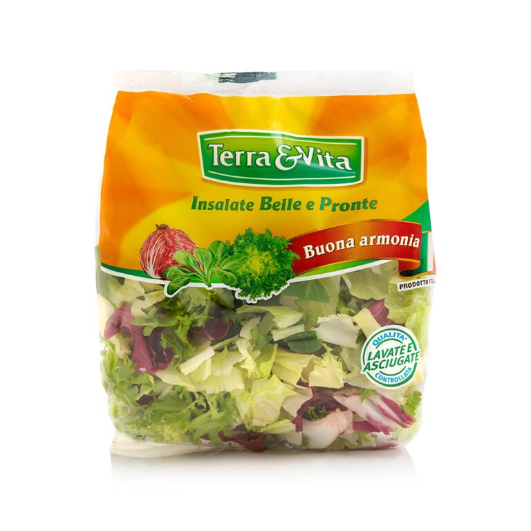 Insalata Buona armonia 160g Terra&Vita