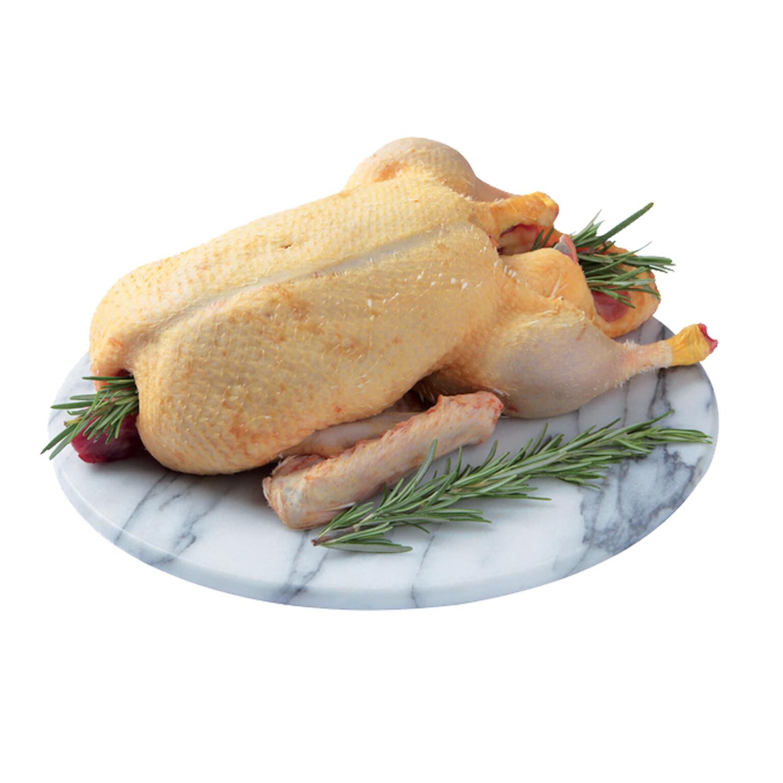 Anatra a busto Piemontese