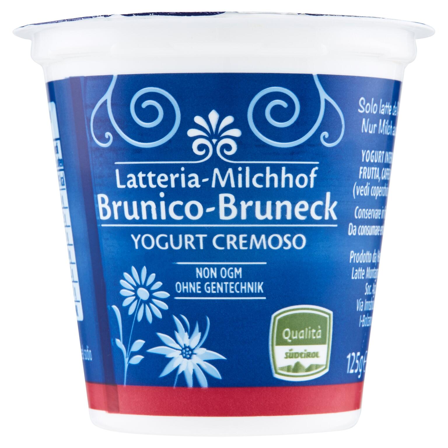 Yogurt Intero Frutta Assortita 125g