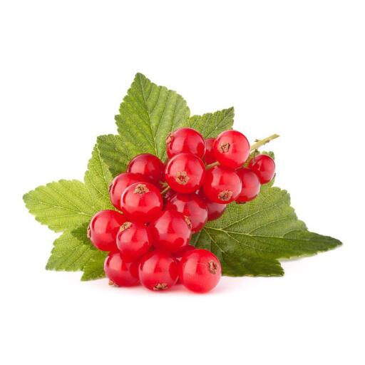 Ribes rosso 125g