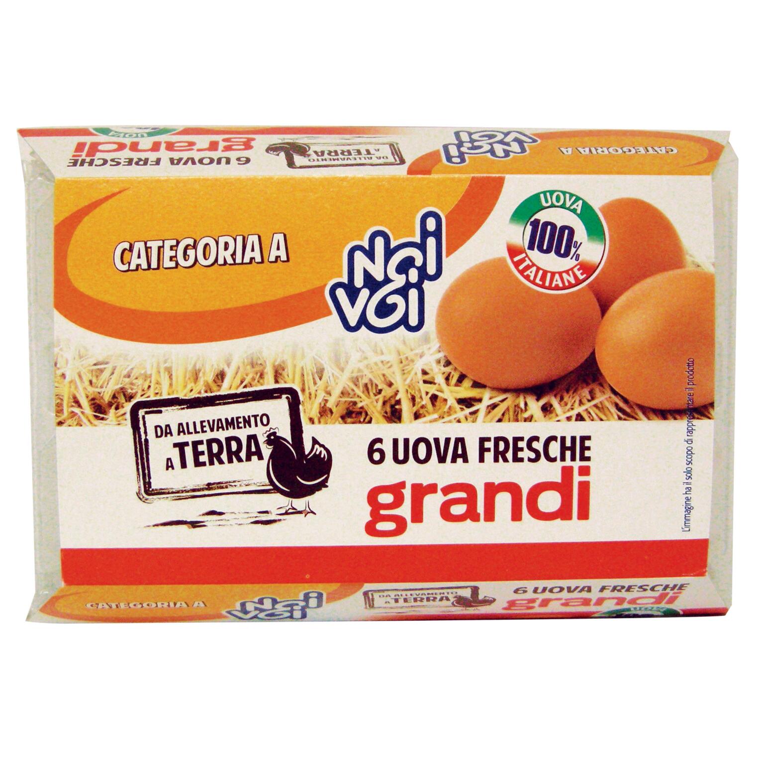Uova da allevamento a terra cat.A large x6 Noi&Voi