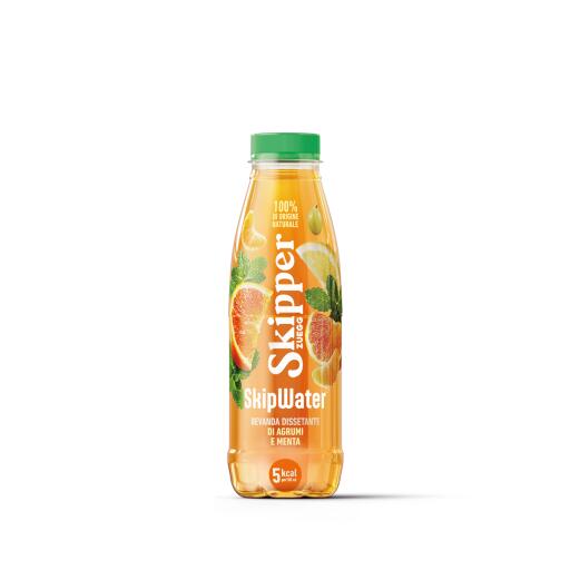Skipwater 500ml Agrumi e Menta Skipper Zuegg