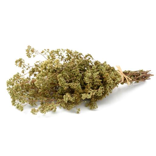 Origano secco mazzo 40g