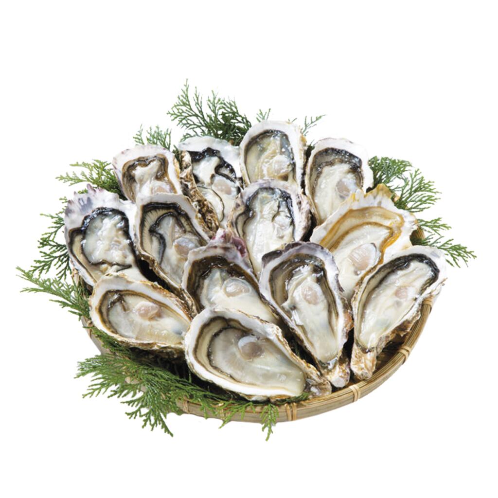 Ostriche Concave Francesi a CASSA