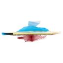 Immagine del prodotto