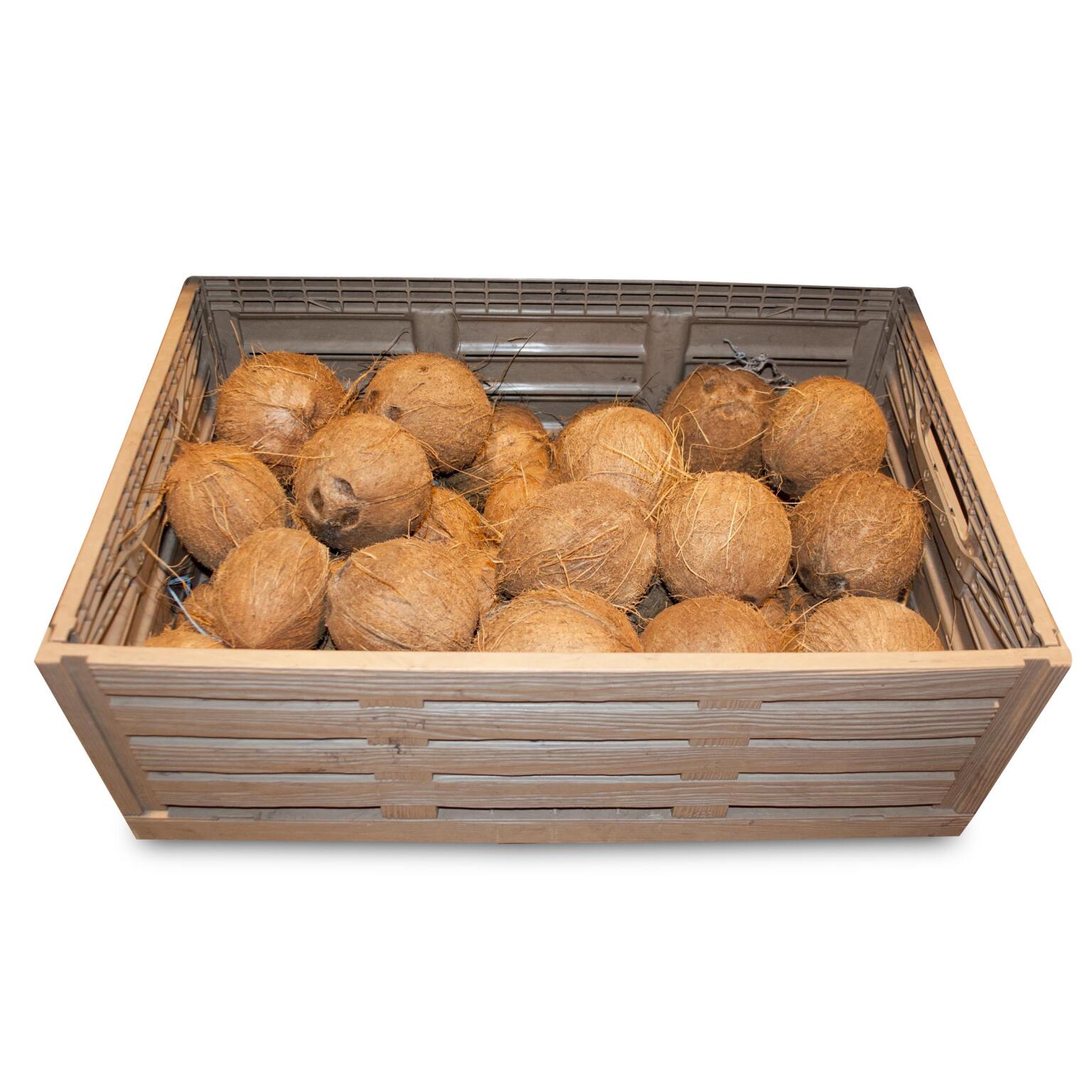 Noci di cocco a cassa