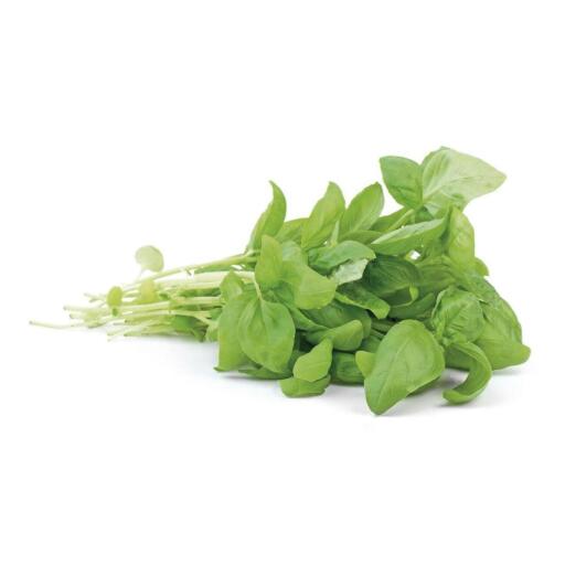 Basilico Mondato 500g Terra&Vita