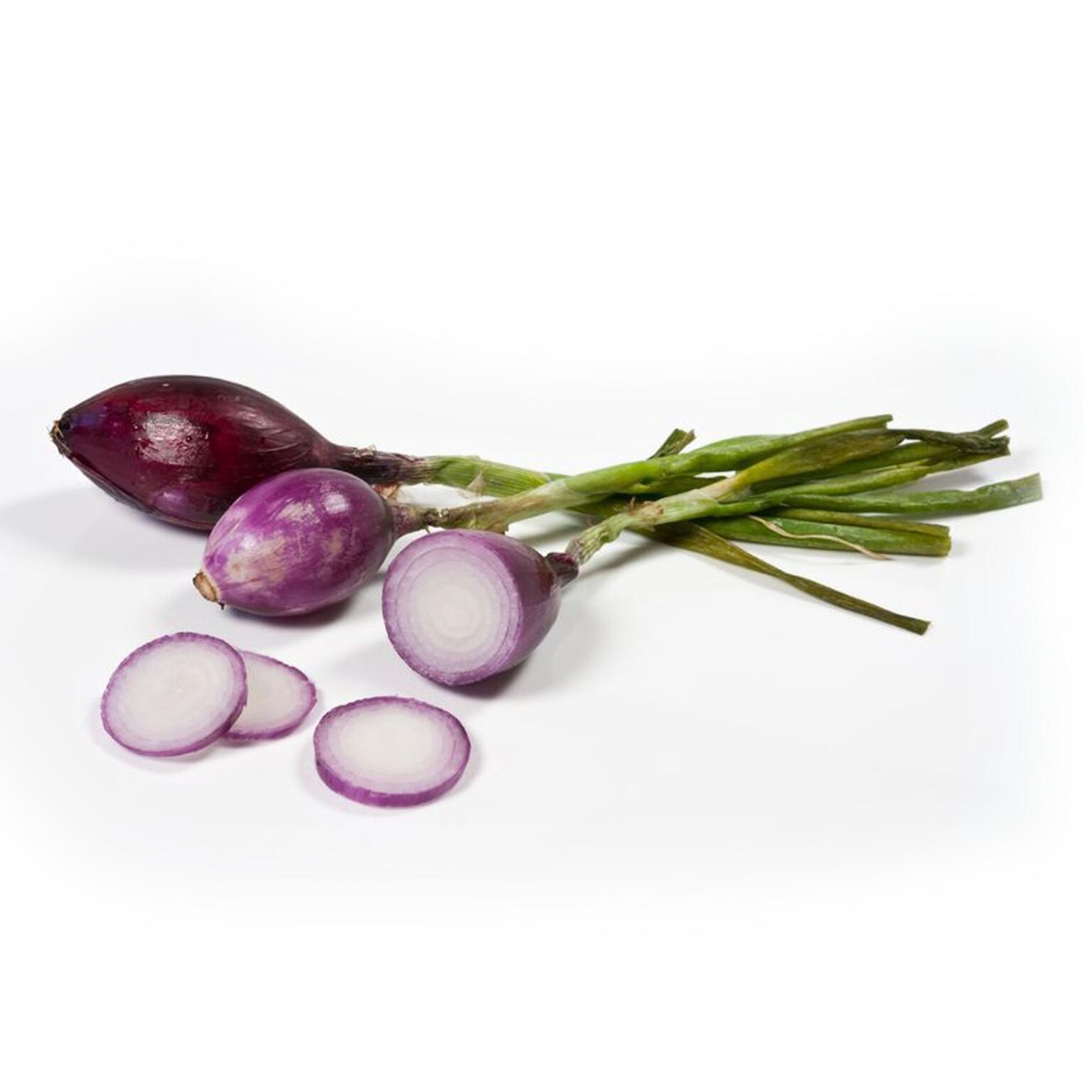 Cipollotti Rossi di Tropea IPG