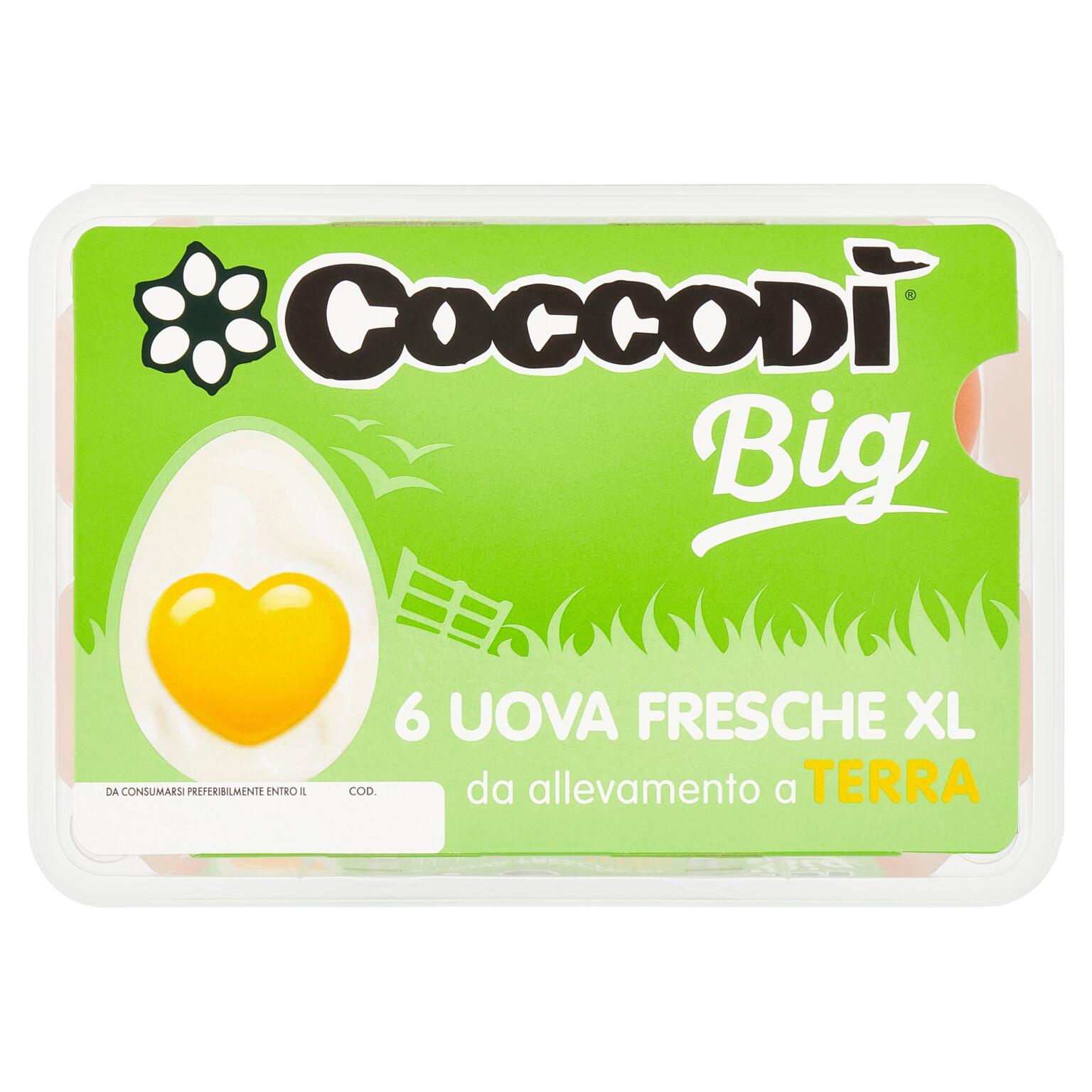 Uova Big XL confezione x6