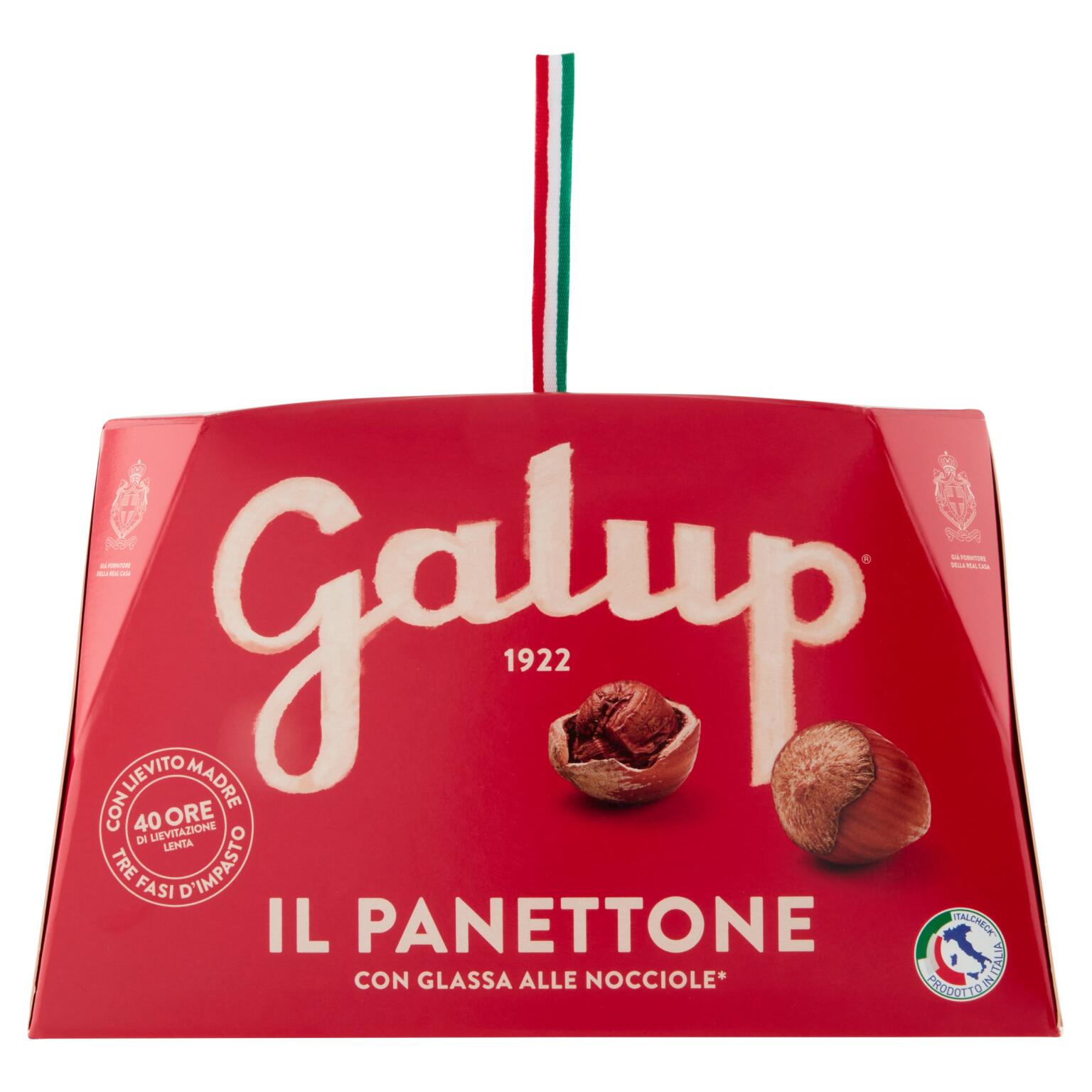 Panettone Tradizionale 750g in astuccio Galup