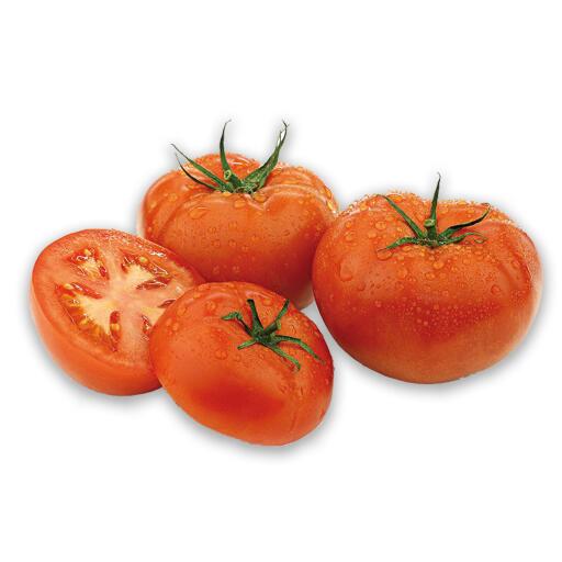 Pomodoro Insalata