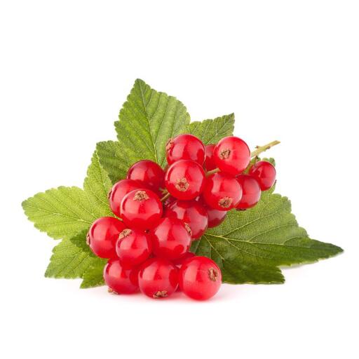 Ribes rosso 125g