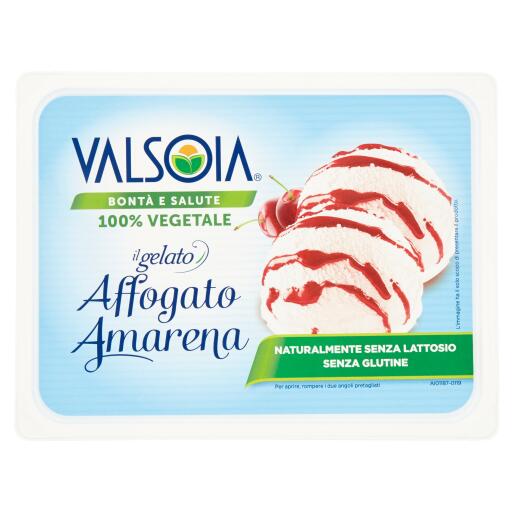 Vaschetta gelato bianco e amarena 500g Valsoia