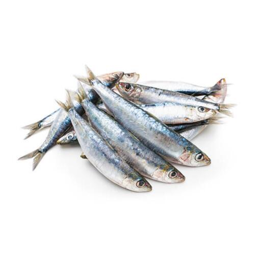 Sardina fresca