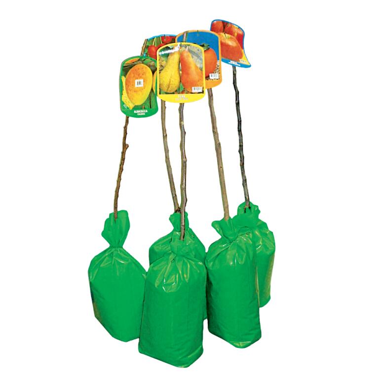 Piante da frutto 1 anno pack