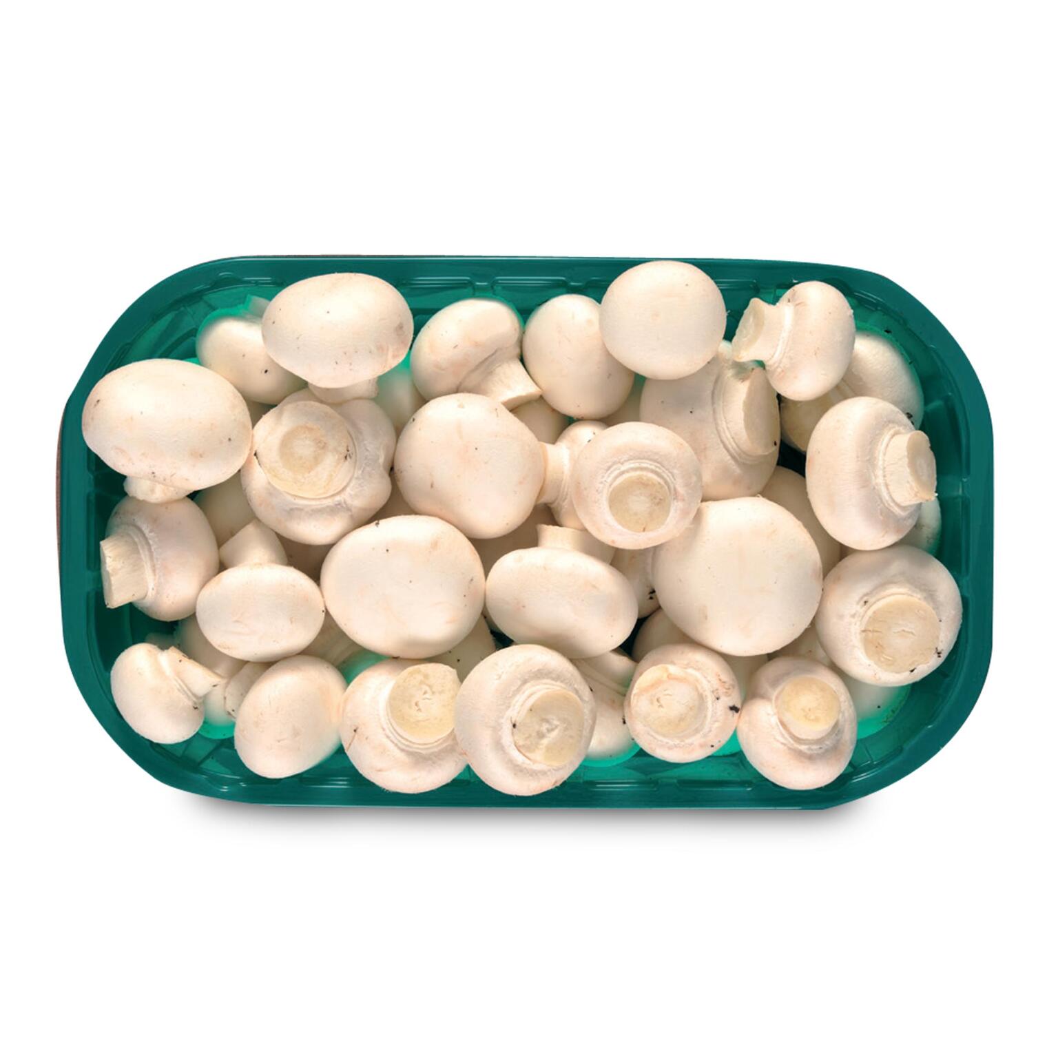 Funghi champignon sgambato 500g Monalfungo