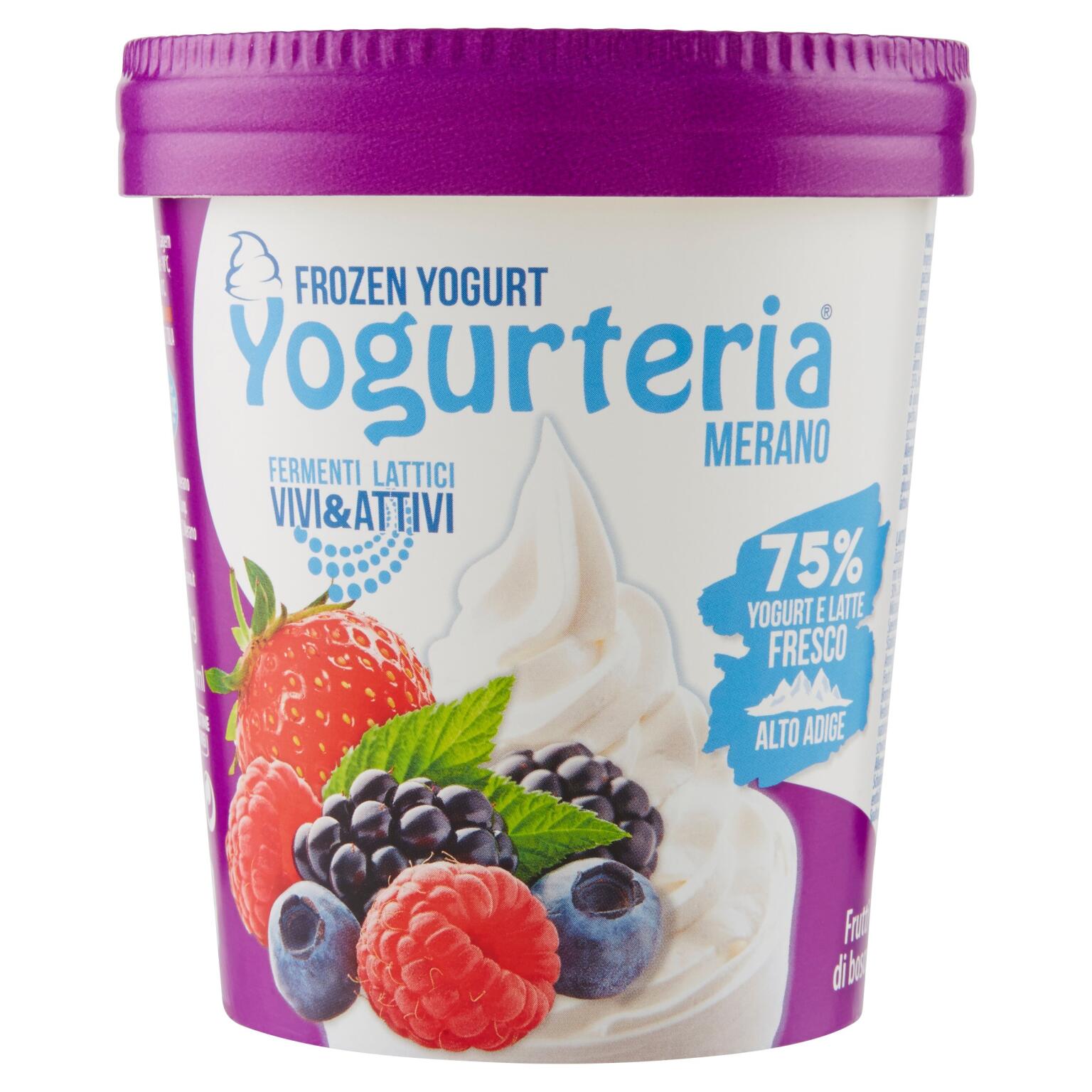 Frozen yogurt frutti di bosco 250g Yogurteria senza lattosio