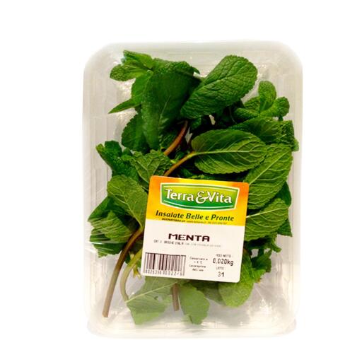 Menta 20g Terra&Vita