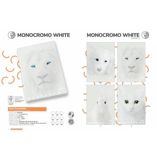 Maxi quaderno white 4mm 100g Monocromo