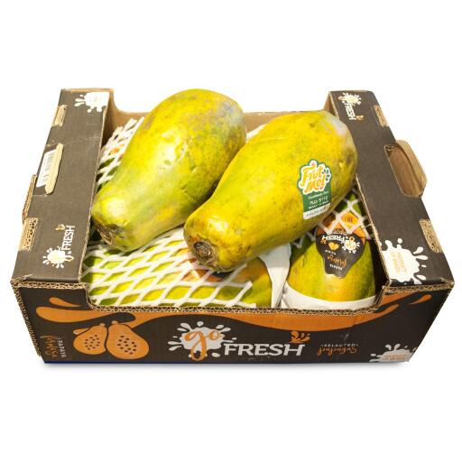 Papaya formosa via aerea a cassa