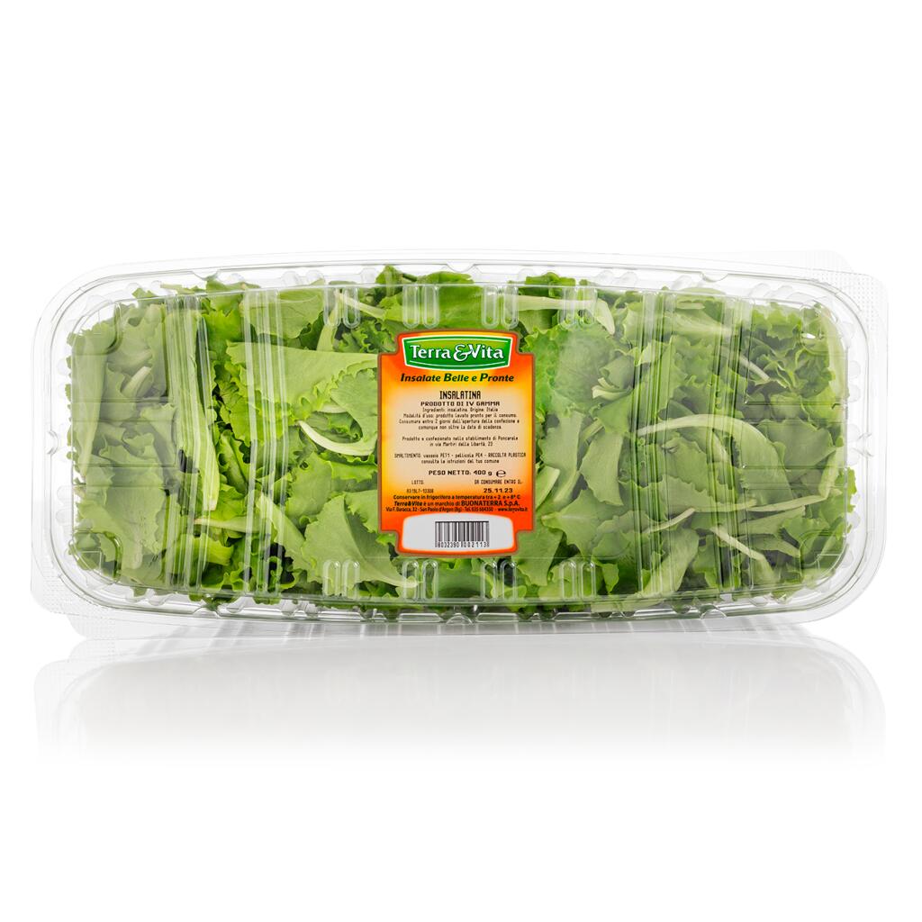 Insalatina in box 400g Terra&Vita